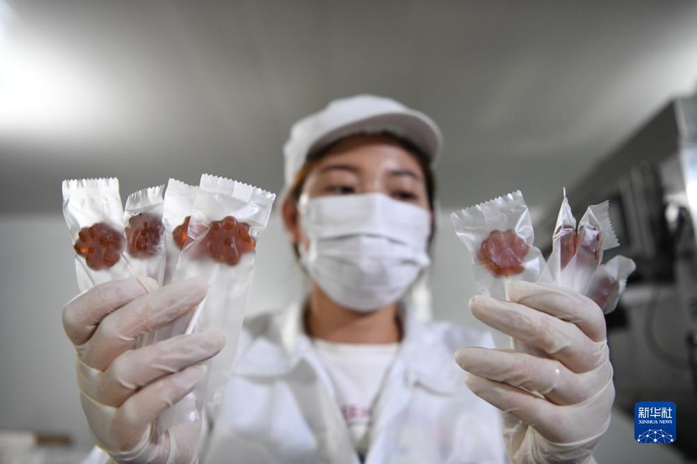 李逵捕鱼游戏下载
